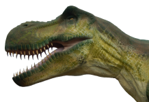 Kilencvenmillió éves raptorcsontokat találtak az ELTE kutatói Ausztriában