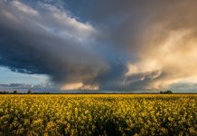 Szélsőséges időjárás jellemezte a múlt évet