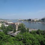 A vizes élőhelyek világnapja – Tovább dolgoznak a Duna-menti folyami és ártéri élőhelyek helyreállításán