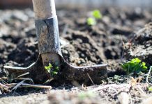 Sok még a tévhit a biogazdálkodás körül