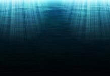 Rekordmelegek voltak tavaly az óceánok