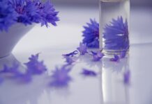 Fitokozmetikumok olasz módra a fenntarthatóság jegyében