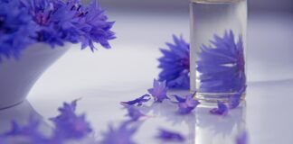 Fitokozmetikumok olasz módra a fenntarthatóság jegyében