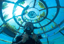 Növénytermesztés a víz alatt