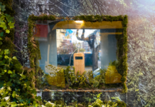 Élőnövények rezgései által keltett zenével nyert rangos nemzetközi díjat az ACG egyik kampánya