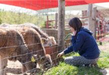 A hely, ahol a fenntarthatóság a mindennapok részét képezi
