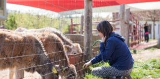 A hely, ahol a fenntarthatóság a mindennapok részét képezi