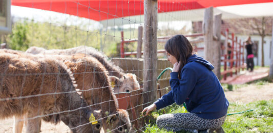 A hely, ahol a fenntarthatóság a mindennapok részét képezi